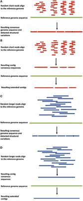 Current Strategies of Polyploid Plant Genome Sequence Assembly